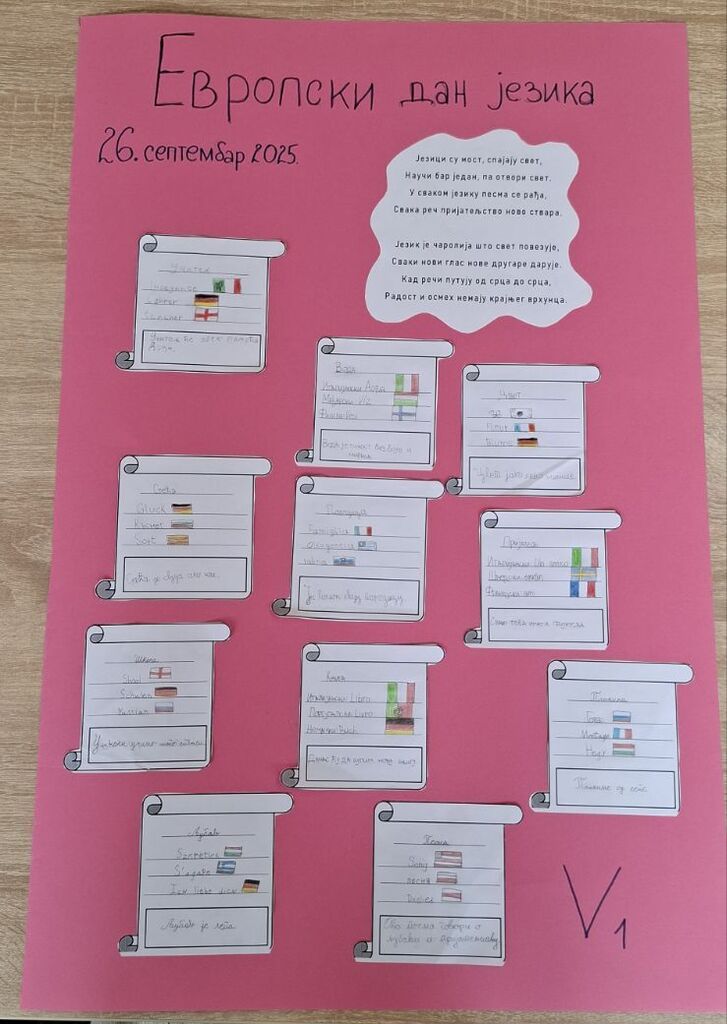 IMG bb0ef4207978cf108398a3ca850e67ef V