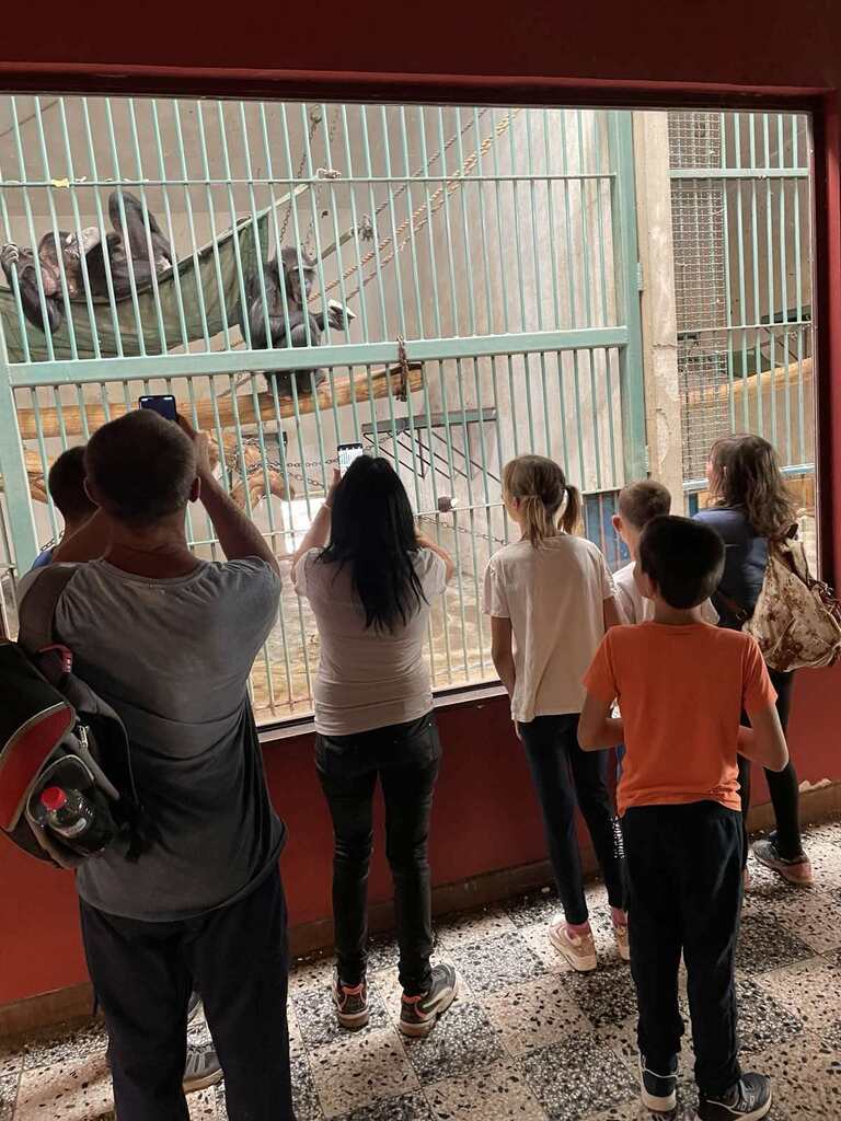 viber image 2025 09 05 13 40 15 207